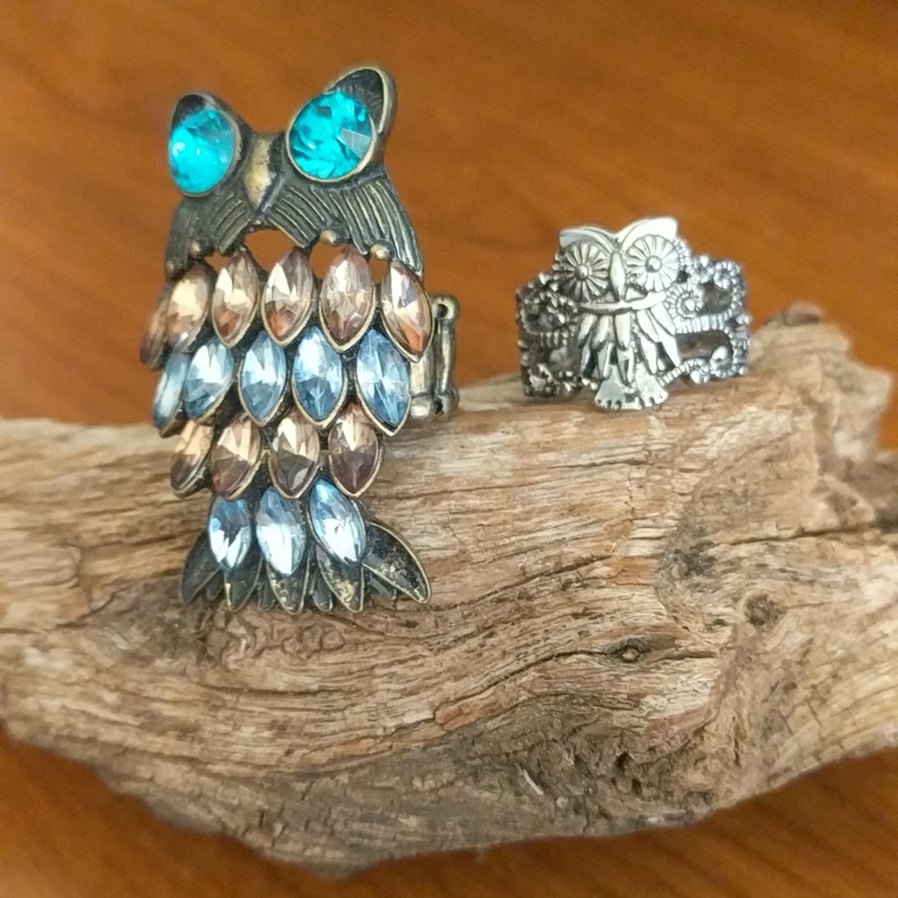 Lot of 2 Owl Rings